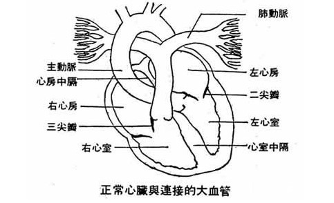 心肌炎患者冬天預防五大要點