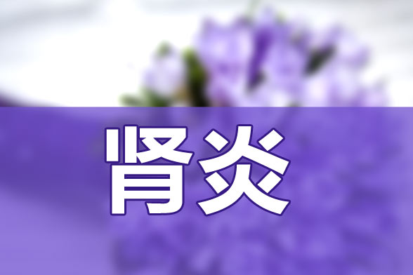 警惕乙肝可能會轉(zhuǎn)變成腎炎疾病