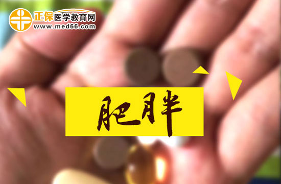 記住這五點(diǎn) 幫你做好對肥胖癥孩子的護(hù)理