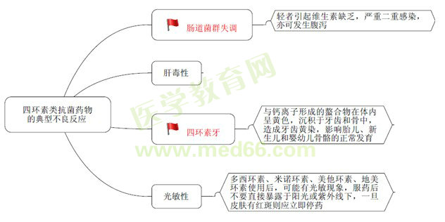 《藥學(xué)專業(yè)知識（二）》“那點小事兒”