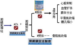 有機磷酸酯類的中毒機制和解救方法