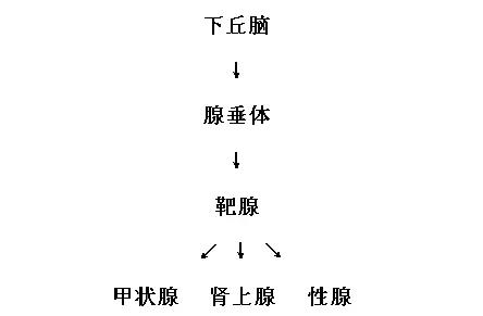 腺垂體功能減退癥