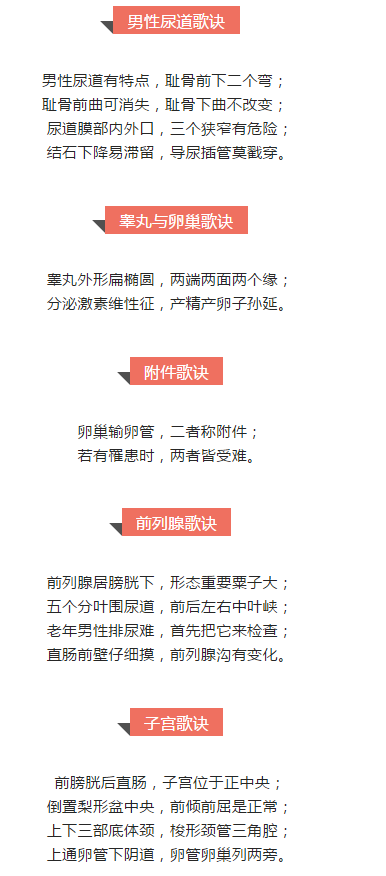 生殖系統(tǒng)速記口訣