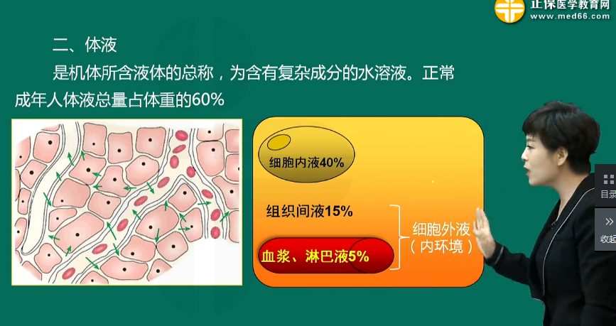 機(jī)體生理功能的調(diào)節(jié)的方式-臨床助理醫(yī)師生理學(xué)輔導(dǎo)