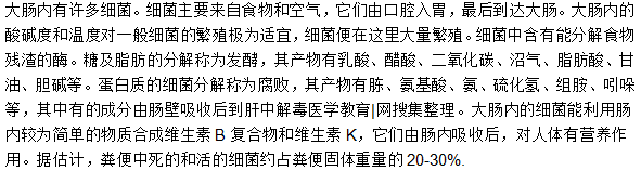 大腸內(nèi)細菌活動的規(guī)律