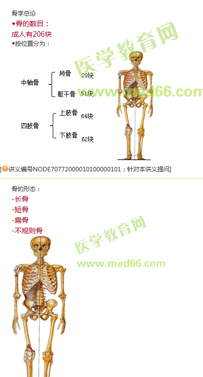 2019年臨床執(zhí)業(yè)醫(yī)師解剖學(xué)課程更新啦