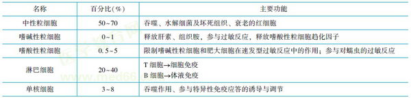 白細(xì)胞分類(lèi)及其功能