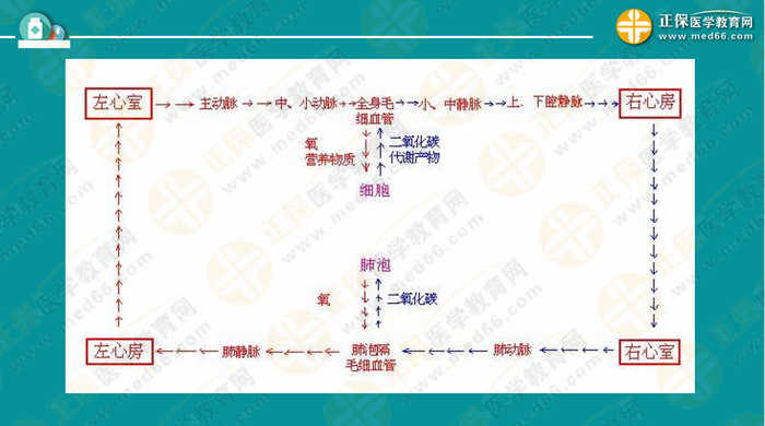 醫(yī)療衛(wèi)生考試筆試備考指導來了，共計2863頁書！怎么學？