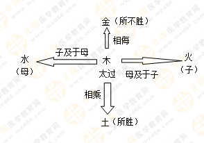 專業(yè)師資帶你學(xué)（五）：執(zhí)業(yè)藥師《中藥綜》五行學(xué)說！學(xué)習(xí)要有方法！