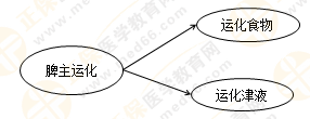 《中藥學(xué)綜合知識與技能》的藏象