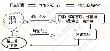 《中藥學(xué)綜合知識與技能》的藏象