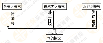 執(zhí)業(yè)藥師中藥綜