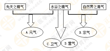 專(zhuān)業(yè)師資帶你學(xué)（八）：執(zhí)業(yè)藥師《中藥綜》生命活動(dòng)的基本物質(zhì)！善用圖解！