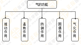 專(zhuān)業(yè)師資帶你學(xué)（八）：執(zhí)業(yè)藥師《中藥綜》生命活動(dòng)的基本物質(zhì)！善用圖解！