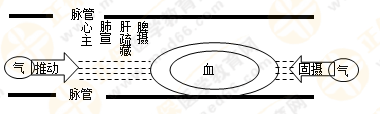 專(zhuān)業(yè)師資帶你學(xué)（八）：執(zhí)業(yè)藥師《中藥綜》生命活動(dòng)的基本物質(zhì)！善用圖解！