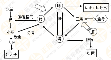 專(zhuān)業(yè)師資帶你學(xué)（八）：執(zhí)業(yè)藥師《中藥綜》生命活動(dòng)的基本物質(zhì)！善用圖解！