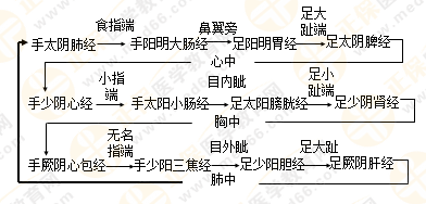 專(zhuān)業(yè)師資帶你學(xué)（九）：執(zhí)業(yè)藥師《中藥綜》經(jīng)絡(luò)與經(jīng)絡(luò)系統(tǒng)！5圖2表！