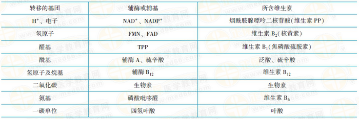 維生素與輔酶的關系