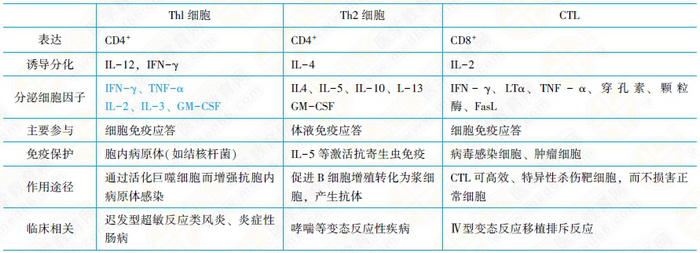 體液免疫應(yīng)答