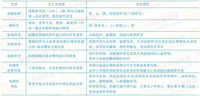 可逆性損傷的?？键c 