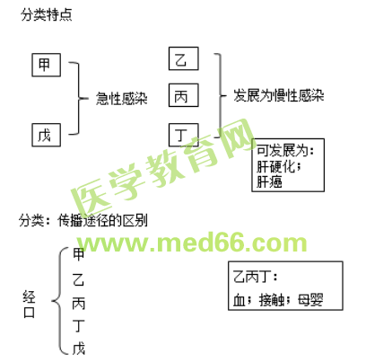 【邵啟軒】傳染病學(xué)-中西醫(yī)結(jié)合執(zhí)業(yè)醫(yī)師精選課