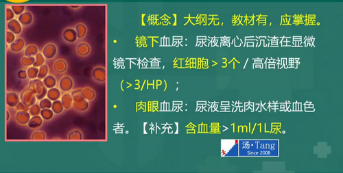 湯以恒2019臨床執(zhí)業(yè)醫(yī)師泌尿系統(tǒng)科目免費(fèi)視頻課更新！