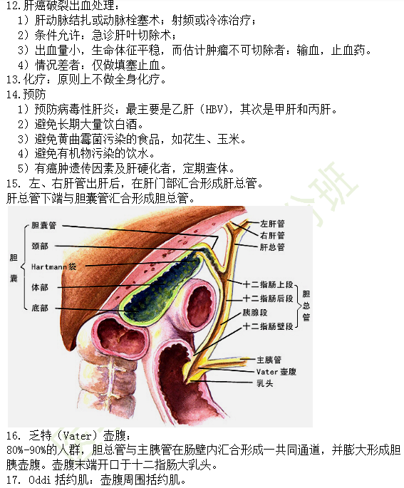 30個有關肝炎、膽囊炎相關考點匯總-臨床執(zhí)業(yè)醫(yī)師消化系統(tǒng)第九期！