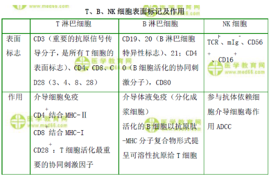 T、B、NK細(xì)胞表面標(biāo)記及作用