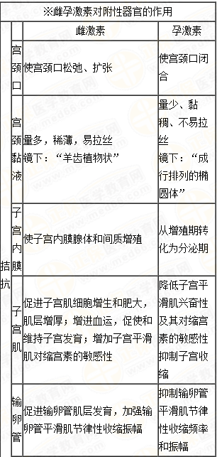 雌、孕激素的生理作用及附性器官的周期性變化