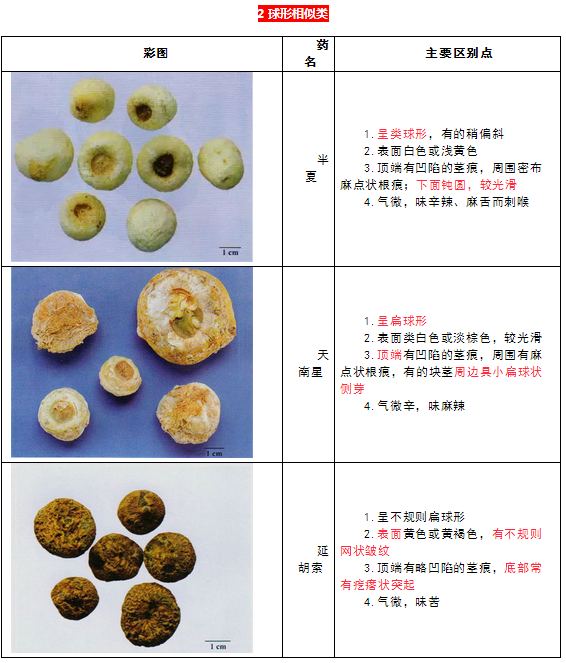 每日沖刺計(jì)劃！2019執(zhí)業(yè)藥師《中藥學(xué)專業(yè)知識二》第一篇！