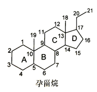 【西藥三科】執(zhí)業(yè)藥師考試西藥三科出題規(guī)律｜重難點匯總！