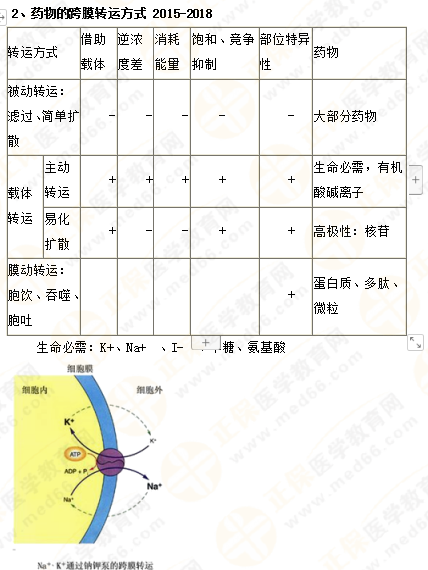 2019年執(zhí)業(yè)藥師《藥一》的藥劑學(xué)，15分鐘經(jīng)典回顧！