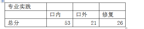 專業(yè)實踐能力