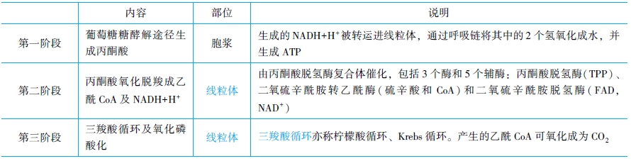 糖的分解代謝和有氧氧化