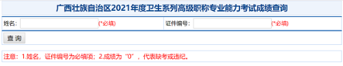 廣西壯族自治區(qū)2021年度衛(wèi)生系列高級(jí)職稱專業(yè)能力考試成績查詢