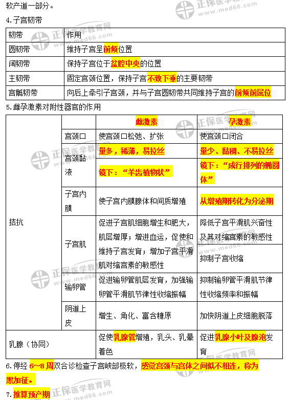 女性生殖系統(tǒng)