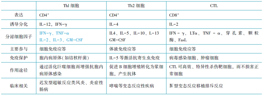 T細(xì)胞介導(dǎo)的細(xì)胞免疫應(yīng)答