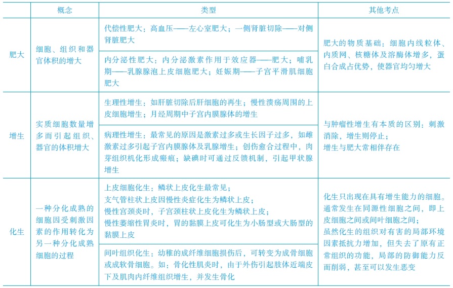 增生、化生和肥大的常見考點　