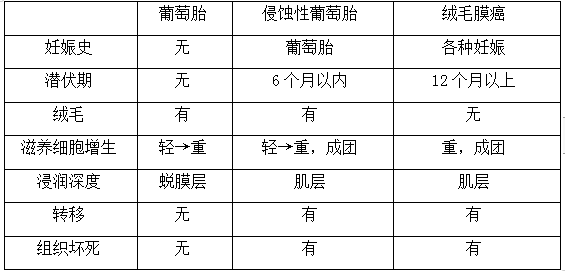 絨癌、侵蝕性葡萄胎、葡萄胎的鑒別