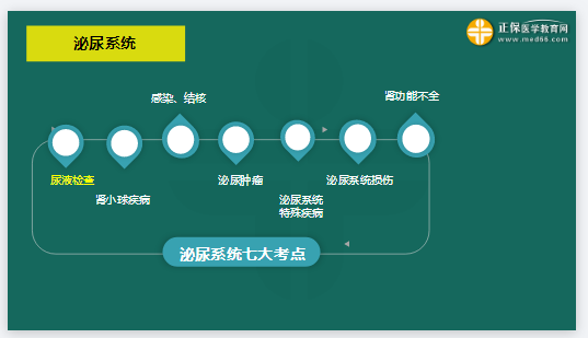 泌尿系統(tǒng)7大考點(diǎn)