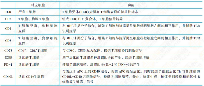 TCR-CD3復(fù)合物