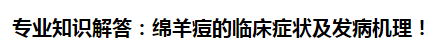 專業(yè)知識解答：綿羊痘的臨床癥狀及發(fā)病機(jī)理！