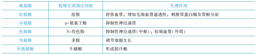 個(gè)別氨基酸的代謝