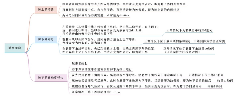 體格檢查——肺界叩診、肺下界移動度叩診