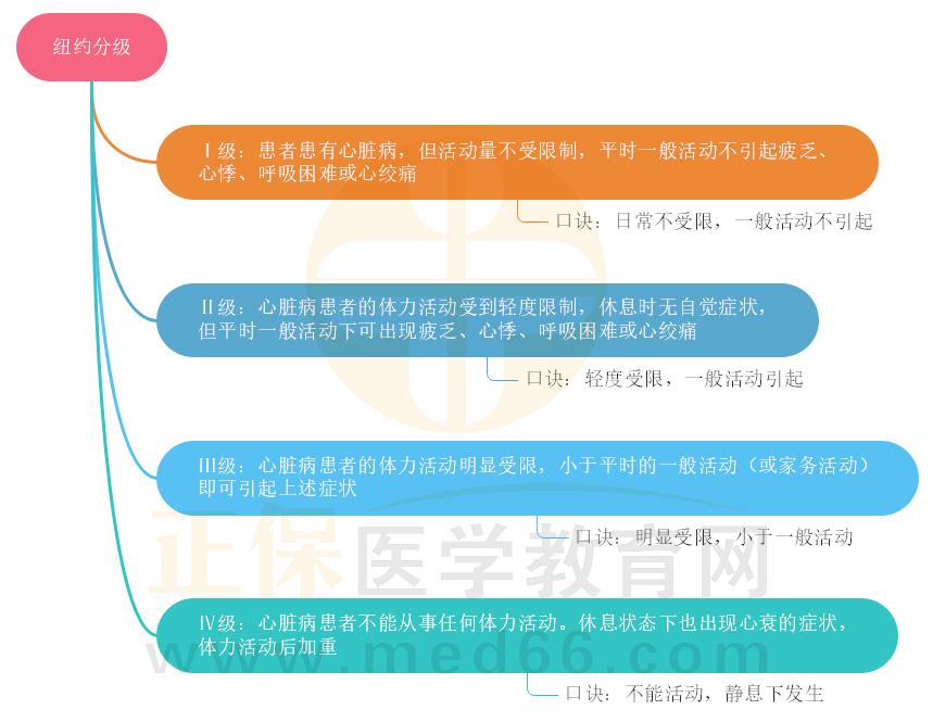 2.紐約分級思維導圖