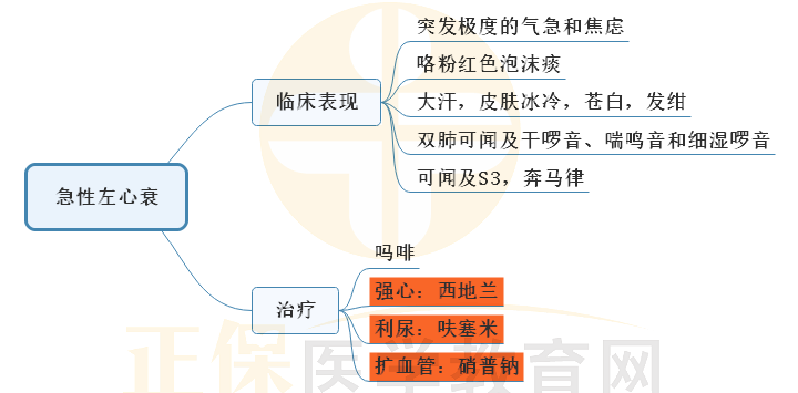 6.急性左心衰的臨床表現(xiàn)和治療思維導(dǎo)圖