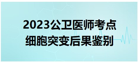 2023公衛(wèi)醫(yī)師考點(diǎn)細(xì)胞突變后果鑒別