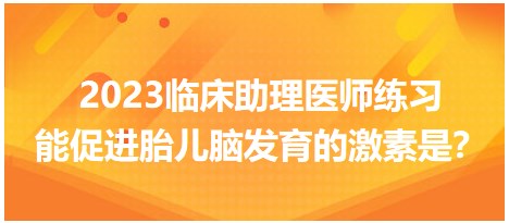 2023臨床助理醫(yī)師練習(xí)-促進(jìn)胎兒腦發(fā)育的激素是？