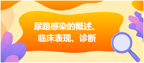 尿路感染的概述、臨床表現(xiàn)、診斷