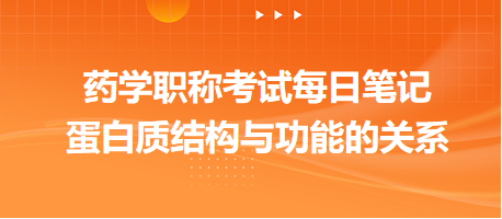 2024藥學(xué)職稱考試每日筆記：蛋白質(zhì)結(jié)構(gòu)與功能的關(guān)系